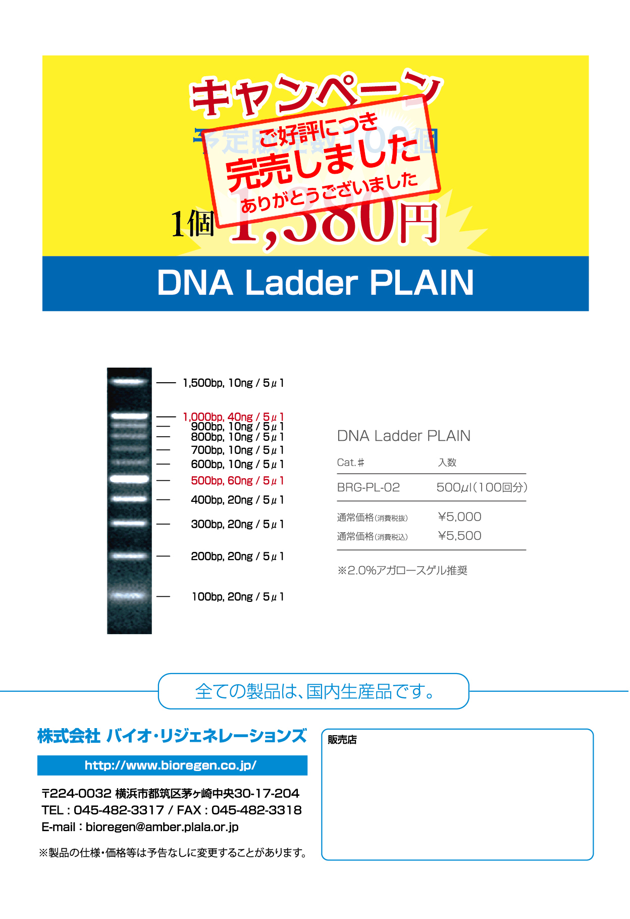 DNAラダー